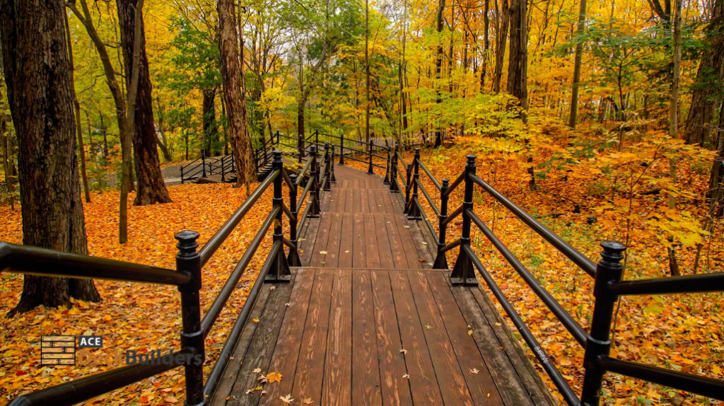 wooden deck during fall
