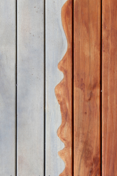 Sustainability-and-Environmental-Impact